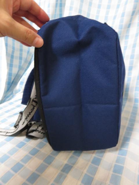 Champion�`�����s�I�� �����b�N �l�C�r�[ �̎ʐ^4