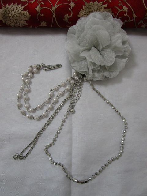 ���C���X�g�[��&�p�[���`�F�[���t�� �R�T�[�W�� �u���[�` �O���[���� �̎ʐ^1