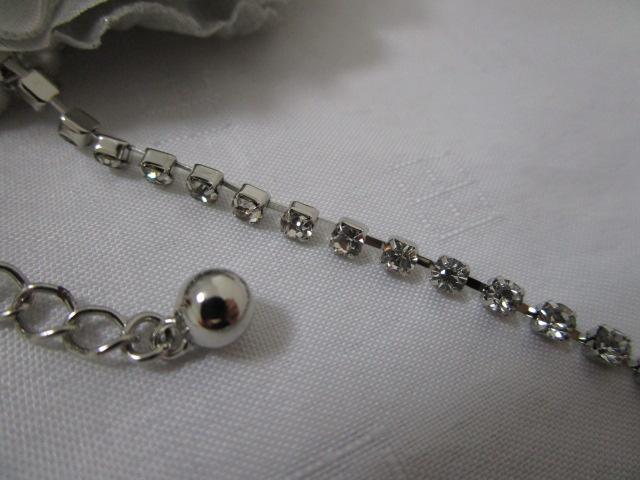 ���C���X�g�[��&�p�[���`�F�[���t�� �R�T�[�W�� �u���[�` �O���[���� �̎ʐ^5