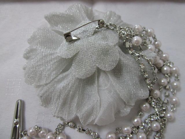 ���C���X�g�[��&�p�[���`�F�[���t�� �R�T�[�W�� �u���[�` �O���[���� �̎ʐ^8