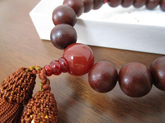 �{���h �{�ڗ����� ��O�� �j���p ���{�� �̎ʐ^6