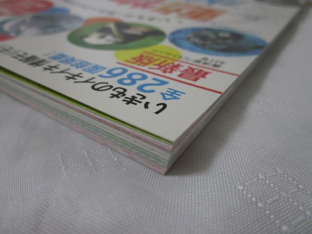 ������&������ ���S�K�C�h �̎ʐ^5