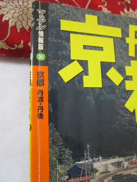 ���s�O�g�E�O�� '99 �}�b�v�� �̎ʐ^2