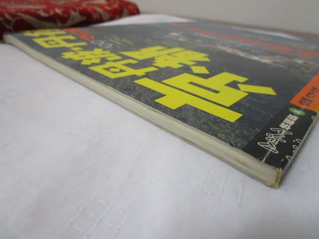 ���s�O�g�E�O�� '99 �}�b�v�� �̎ʐ^5