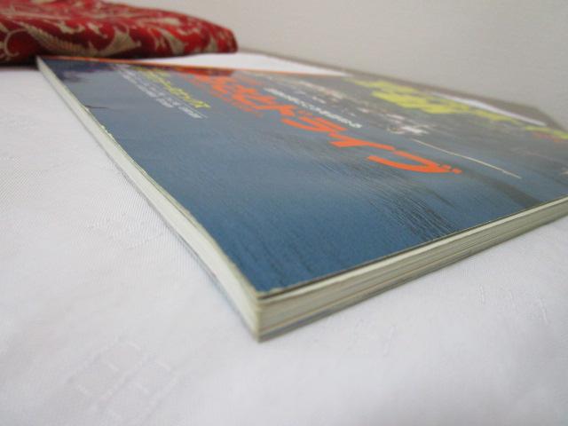 ���s�O�g�E�O�� '99 �}�b�v�� �̎ʐ^6