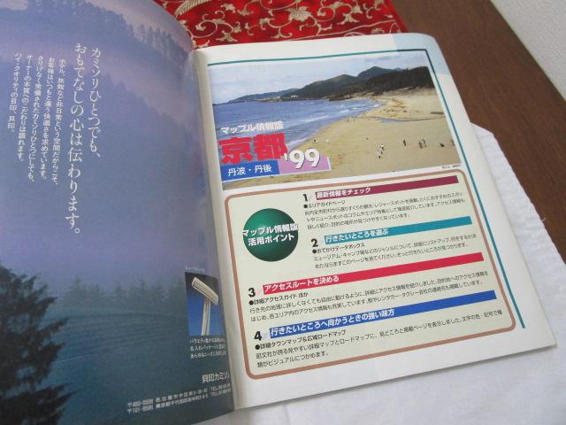 ���s�O�g�E�O�� '99 �}�b�v�� �̎ʐ^8