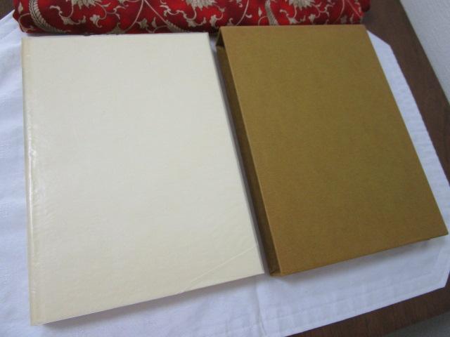 �_�C�G�[ �����Ӓ��� : ��ؒB�Y�Ǔ��W �̎ʐ^2