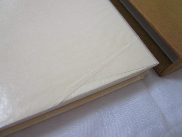 �_�C�G�[ �����Ӓ��� : ��ؒB�Y�Ǔ��W �̎ʐ^3