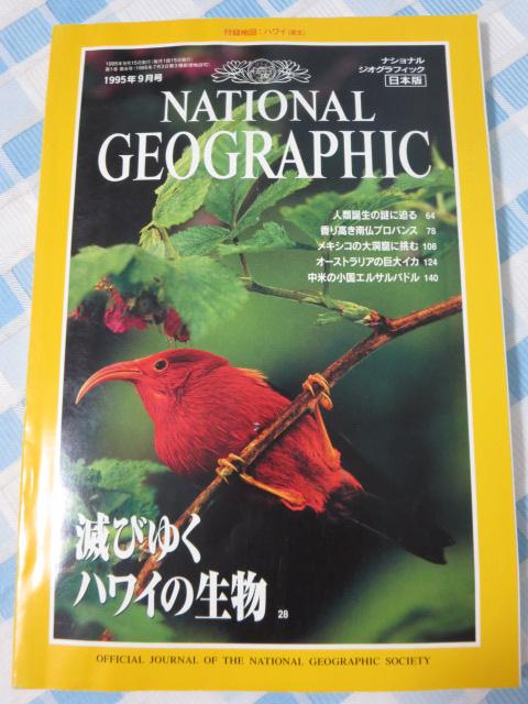 NATIONAL GEOGRAPHIC iViWIOtBbN 1995N9 ̎ʐ^1