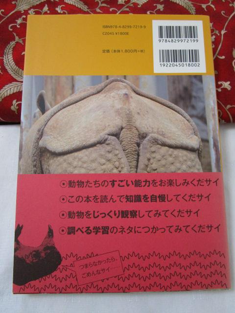 Zoo���Ƃ��̂��[! ������ �̎ʐ^2