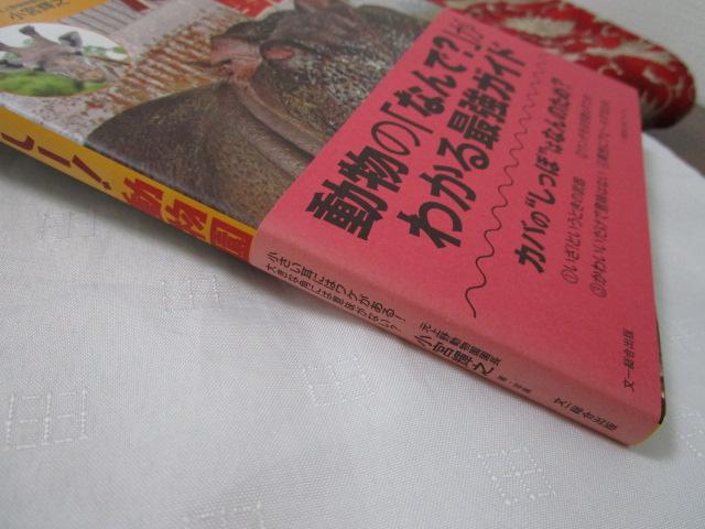 Zoo���Ƃ��̂��[! ������ �̎ʐ^3