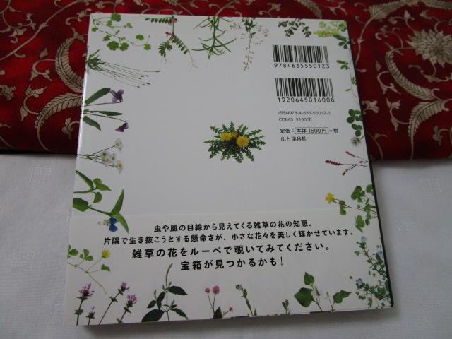 �����������ȎG���̉Ԑ}�� �ѕt�� �̎ʐ^2