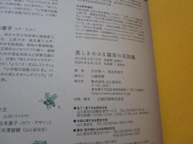 �����������ȎG���̉Ԑ}�� �ѕt�� �̎ʐ^3