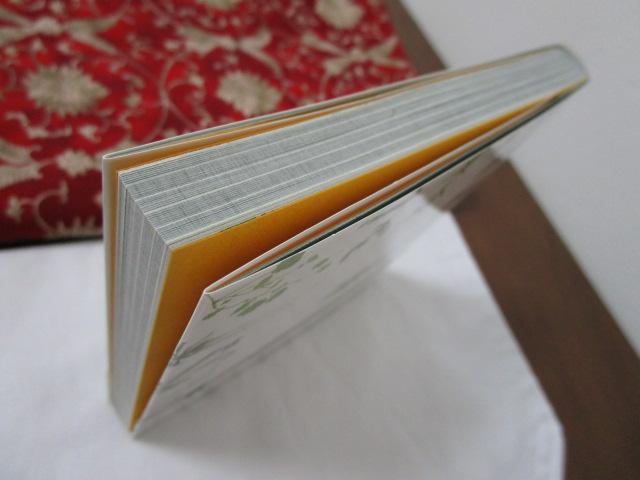 �����������ȎG���̉Ԑ}�� �ѕt�� �̎ʐ^4