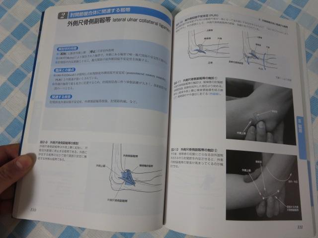 �^���Ö@�̂��߂̋@�\��U�w�I�G�f�Z�p �㎈ �� �T�Y �̎ʐ^4