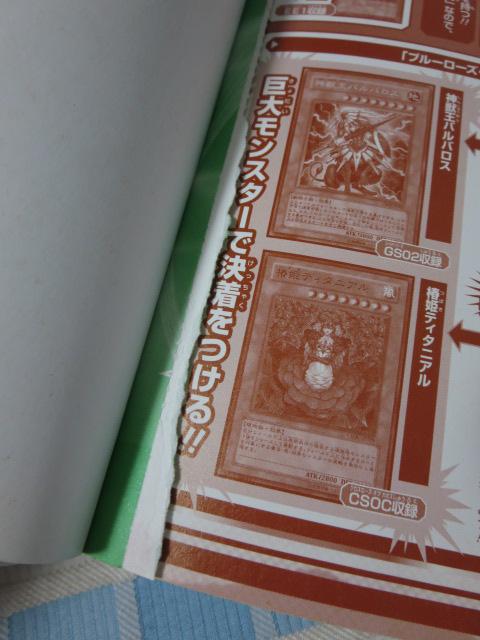 �V�E�Y�E���t�@�C�u�f�B�[�Y ���[���h�`�����s�I���V�b�v2011 �I�[�o�[�E�U�E�l�N�T�X NDS�� ���[�h�E�g�D�E�r�N�g���[ �R�i�~�����U���{ �̎ʐ^4