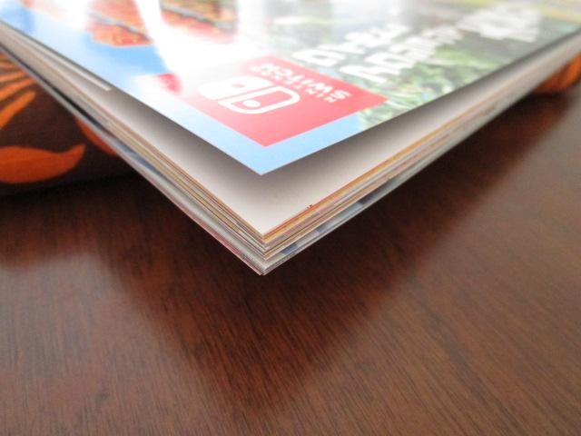 �t�^�|�X�^�[�t�� Nintendo DREAM 2025�N3���� �̎ʐ^3