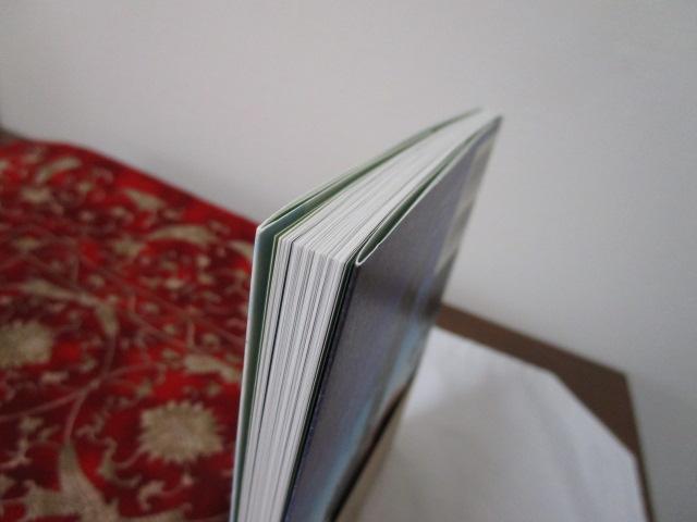 ���ł��N�̂��΂ɂ��� �ѕt�� �̎ʐ^4