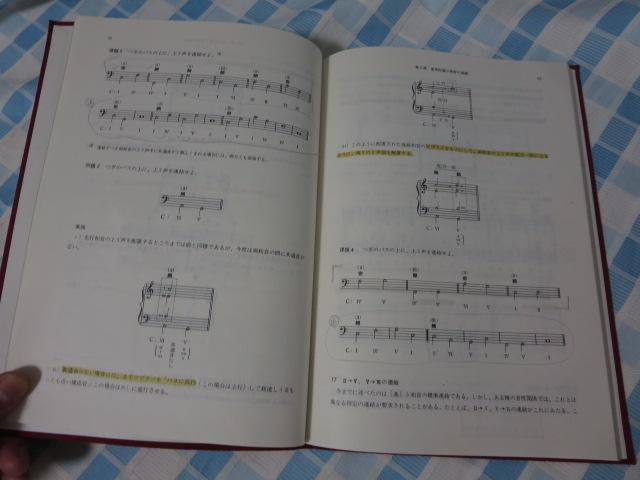 �a�� ���_�Ǝ��K 1 ���� �� �̎ʐ^4