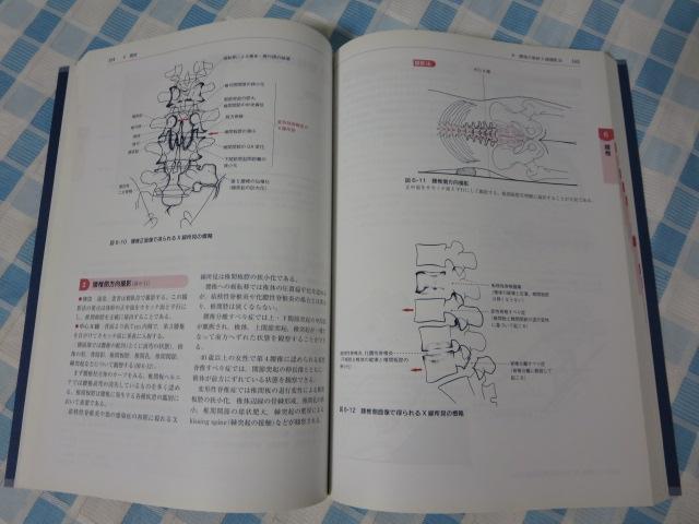 ���E�֐�X���ʐ^�̎B�肩���ƌ����� ��8�� �x�� �d�� �̎ʐ^4