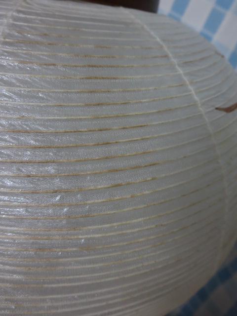 ~ ts9  PL du [  dCR[hd ̎ʐ^9