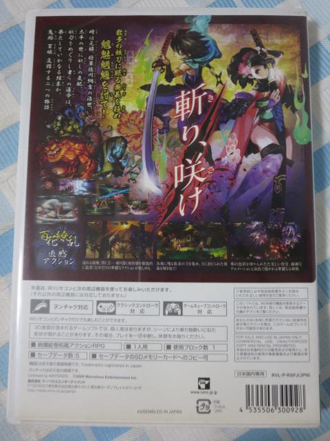 Wii�\�t�g �O���� �̎ʐ^2