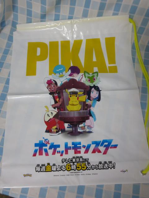 |P sJ`E PIKA! AjԐ rjВ 40~50cm ̎ʐ^1