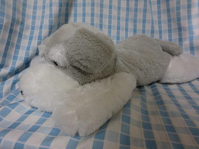 �V���i ��������V���i�E�U�[�Q���ׂ� �ʂ������ 70cm �̎ʐ^2