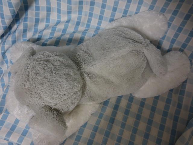 �V���i ��������V���i�E�U�[�Q���ׂ� �ʂ������ 70cm �̎ʐ^3