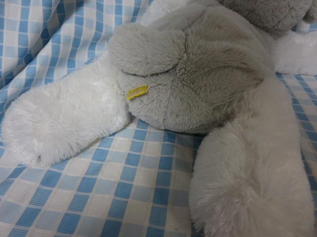 �V���i ��������V���i�E�U�[�Q���ׂ� �ʂ������ 70cm �̎ʐ^4