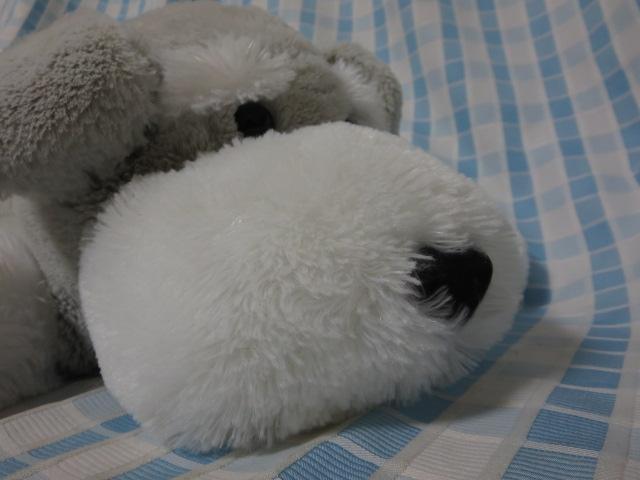 �V���i ��������V���i�E�U�[�Q���ׂ� �ʂ������ 70cm �̎ʐ^7