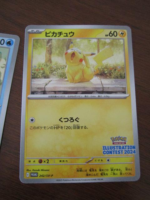 ��܍�i�v�����J�[�h�� �C���X�g���[�V�����R���e�X�g2024 �J���ς� 3���Z�b�g ���I�[�_�C�� ���s�J�`���E ���X�g�����_�[ex �̎ʐ^2