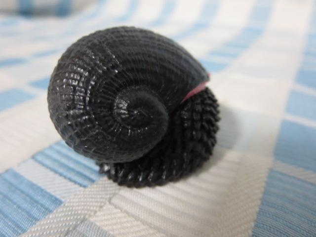 �E���R�t�l�^�}�K�C(���X�P) �l�C�`���[�e�N�j�J���[MONO PLUS �[�C���� �}�O�l�b�g �̎ʐ^2