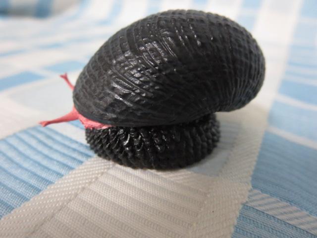 �E���R�t�l�^�}�K�C(���X�P) �l�C�`���[�e�N�j�J���[MONO PLUS �[�C���� �}�O�l�b�g �̎ʐ^3