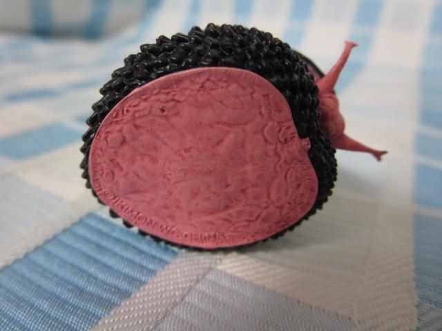 �E���R�t�l�^�}�K�C(���X�P) �l�C�`���[�e�N�j�J���[MONO PLUS �[�C���� �}�O�l�b�g �̎ʐ^4