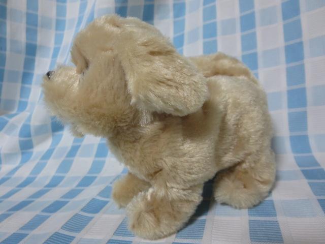 �C���� �s�b�R���[�l ���g���o�[ �d�r�œ����ʂ������ �̎ʐ^1