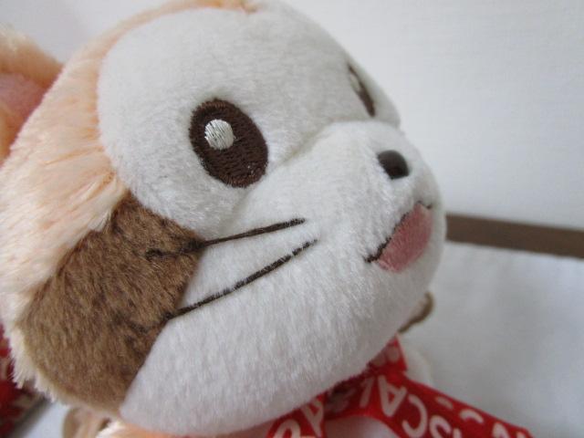 �������胉�X�J���ʂ������ ���E���쌀�� ���炢���܃��X�J�� 14cm �̎ʐ^7