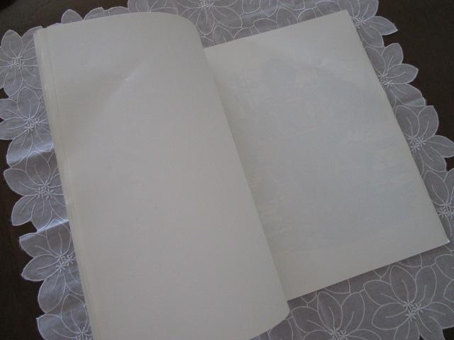 fBYj[h MAGIC BOOK }WbNubN  ̎ʐ^3
