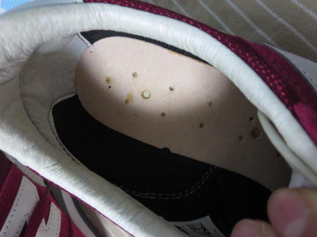 New Balancej[oX fB[XXj[J[ 23cm CW620 bh  ̎ʐ^6