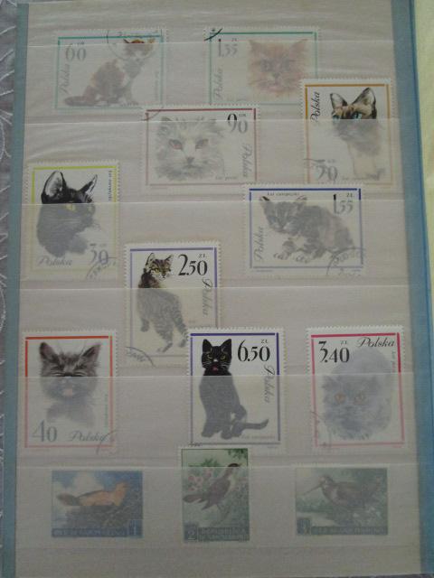 ���E�̎g�p�ςݐ؎�R���N�V���� �r���e�[�W �܂Ƃߔ��� (200���O��) �n���K���[ ���[�}�j�A �����S�� �|�[�����h �R�����r�A ���x���A �� �̎ʐ^8