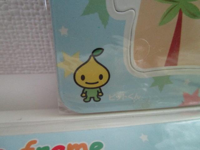 4���Z�b�g �S�J�� �t�H�g�t���[���}�O�l�b�g �s�b�g���� �s�b�g�l�l �̎ʐ^3