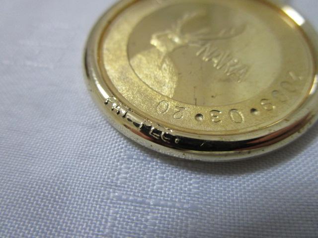 �L�O���_�� �L�[�z���_�[ �ޗ� ���厛 2009�N �̎ʐ^7