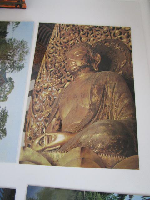 ���g�� �����@�P���� �G�͂��� 8�� ���g�p �̎ʐ^5