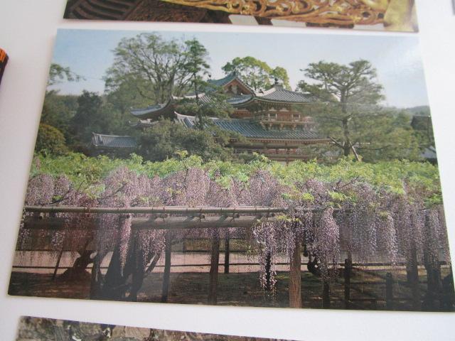 ���g�� �����@�P���� �G�͂��� 8�� ���g�p �̎ʐ^8