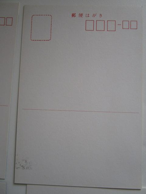 ���g�� �T�ؐ_�� �������R �G�͂��� 8�� ���g�p �̎ʐ^8