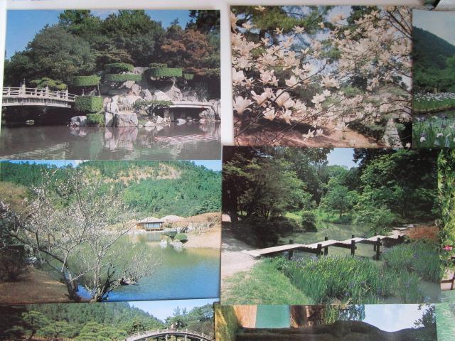 ���g�� �I�ь��� �G�͂��� 14�� ���g�p �̎ʐ^3