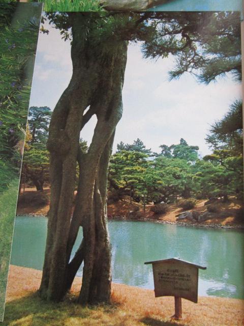 ���g�� �I�ь��� �G�͂��� 14�� ���g�p �̎ʐ^5