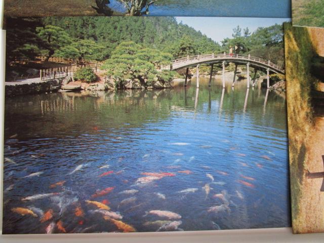 ���g�� �I�ь��� �G�͂��� 14�� ���g�p �̎ʐ^6