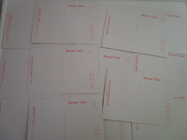 ���g�� ������ ���˓��C�������� �G�͂��� 14�� ���g�p �̎ʐ^6