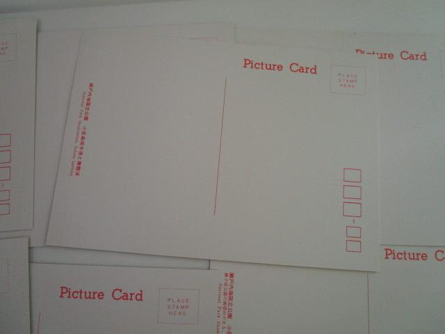 ���g�� ������ ���˓��C�������� �G�͂��� 14�� ���g�p �̎ʐ^7